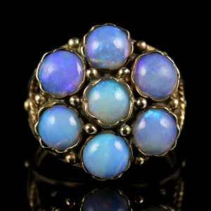 Antique Victorian Opal Cluster Ring Rose Gold Fabulous Opals