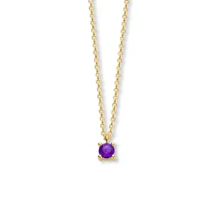 February Birthstone Necklace 14K Yellow Gold