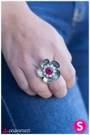 Paparazzi Ring ~ At the Risk of Looking Fabulous - Pink